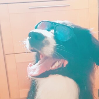 Sven D&ouml;llingAir