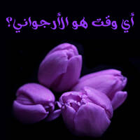 أي وقت هو الأرجواني؟