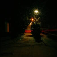 Ghost Tropic: Our Winter Love [003] by Static + Distance