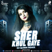 Sher Khul Gaye (Remix) - DJ Quinn by All Indian DJs Drive