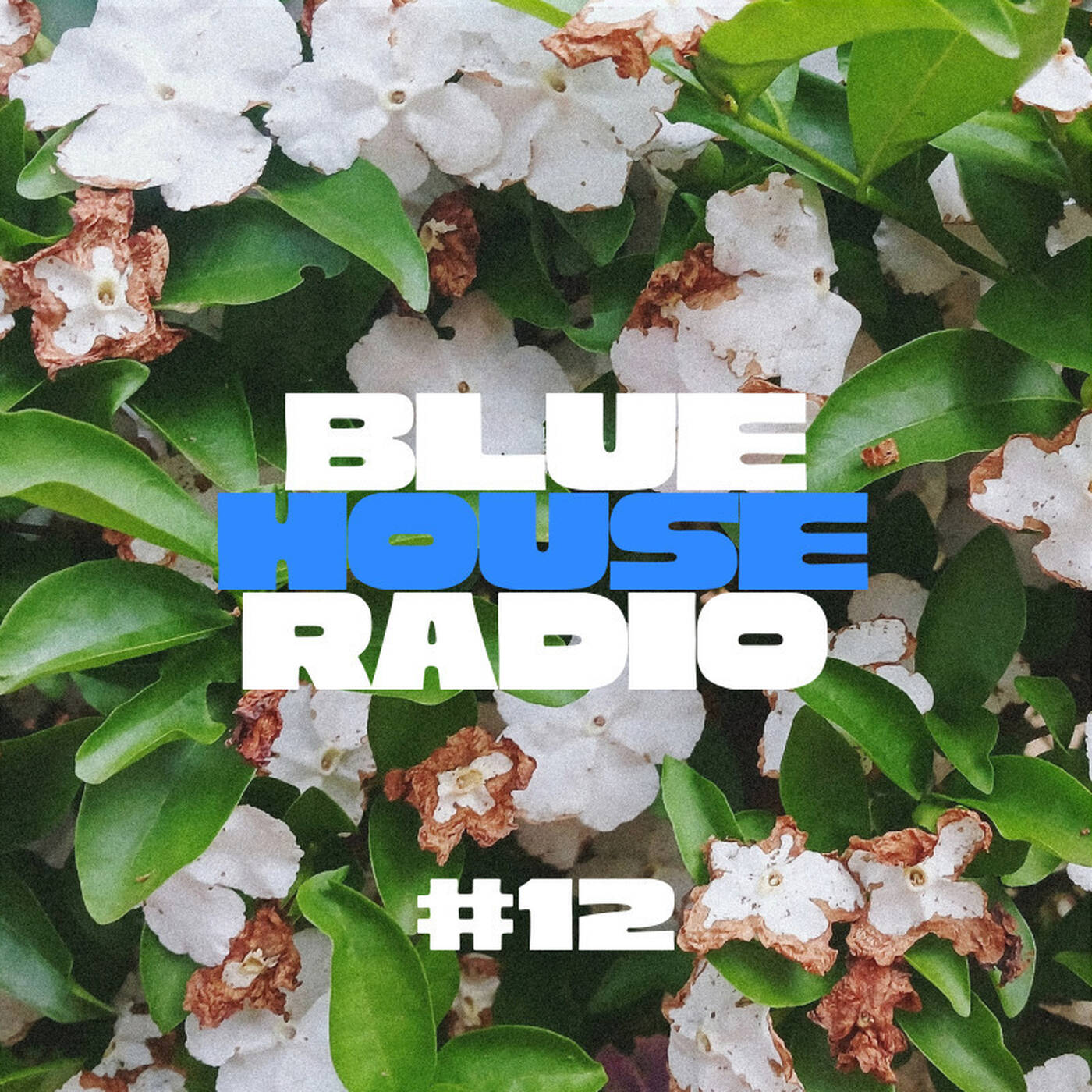 For the Love of Deep House Music | BH Radio #12