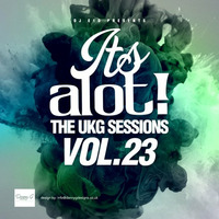 It's A Lot! The UKG Sessions, Vol. 23 by DJ E1D
