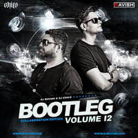 Bootleg Vol. 12