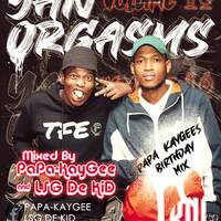 YanOrgasms Vol.10 (Live Birthday Mix) by KnL