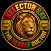 Selector Ray
