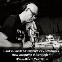 3LAU vs. Snails &amp; HeRobust vs. 2BeManiacs - How you pump this crusader (Paolo Aliberti Mashup) by Paolo Aliberti