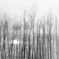 mist by roughcopies