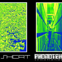 FISHCAT - [MiX] - PhonotekA_A_(Green) - 2004 by FISHCAT