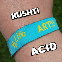 Acid for Life Festival 30 May 2015 by Kushti