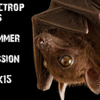 Electropolis Summer Session 2k15 by Greg Esbar