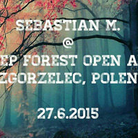 Sebastian M. @ Deep Forest, Zgorzelec, PL 27.06.2015 by Sebastian M. [GER]