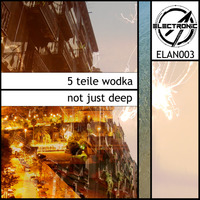 5 Teile Wodka - Reback (Not just deep EP) [ELAN003] (128k preview, read info!) by ElectronicAnarchy