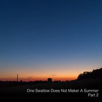 One Swallow Does Not Make A Summer Part 2 by Felix Becker