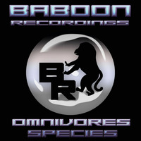Prewiew Baboon Recordings by Tawata