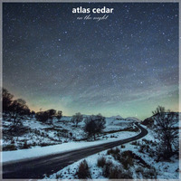 In The Night by atlas cedar
