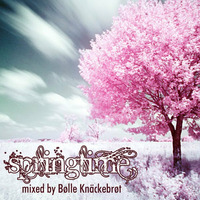 Springtime mixed by Bolle Knaeckebrot by Makrohouse