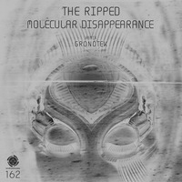 The Ripped - Molecular Disappearance (Gronotek Rmx)Android Muziq by Gronotek | ATA SERIES REC.