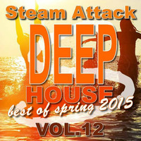 Steam Attack Deep House Mix Vol. 12 - best of spring 2015 by DJ Steam aka DJ Rolf