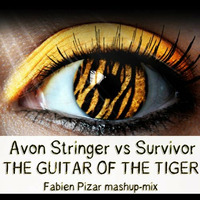 Avon Stringer vs Survivor - The Guitar of the tiger ( Fabien Pizar Mashup Mix ) by Fabien Pizar