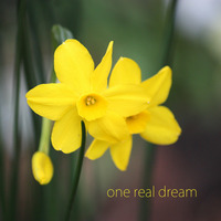 never gonna give up loves theme by one real dream