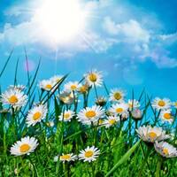 Dj Tobias Rox - Summer Opening Set 2017 by Dj Tobias Rox