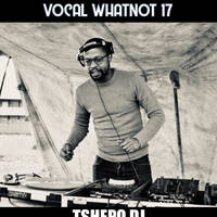 VOCAL WHATNOT 17 - TSHEPO DJ by Stixx Sounds Live Sessions