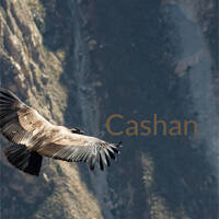 Cashan - Miss Magic Pad by Dhin / Magic Pad Corporation