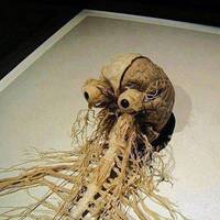 Pre Frontal Lobotomy by Shuhari