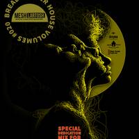 Bread Winner House Volumes #020 (James Special Dedication Mix) by Mesh Lartosh