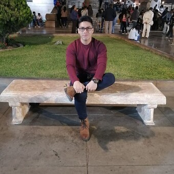 Hebert Anchaya Silva