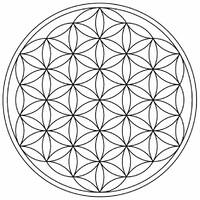 Munchie Meditation by Chlorophil of Synchronos Recordings