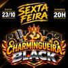 projeto charme 15