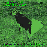 InterFused 052 - You MAY Find Your Self by Major Arcana Media