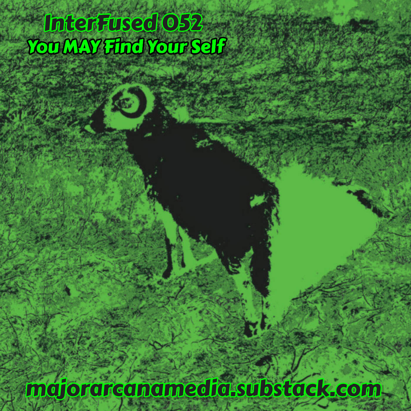 InterFused 052 - You MAY Find Your Self episode artwork