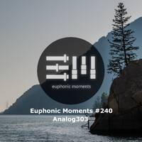 Euphonic Moments # 240 Analog303 by Euphonic Moments