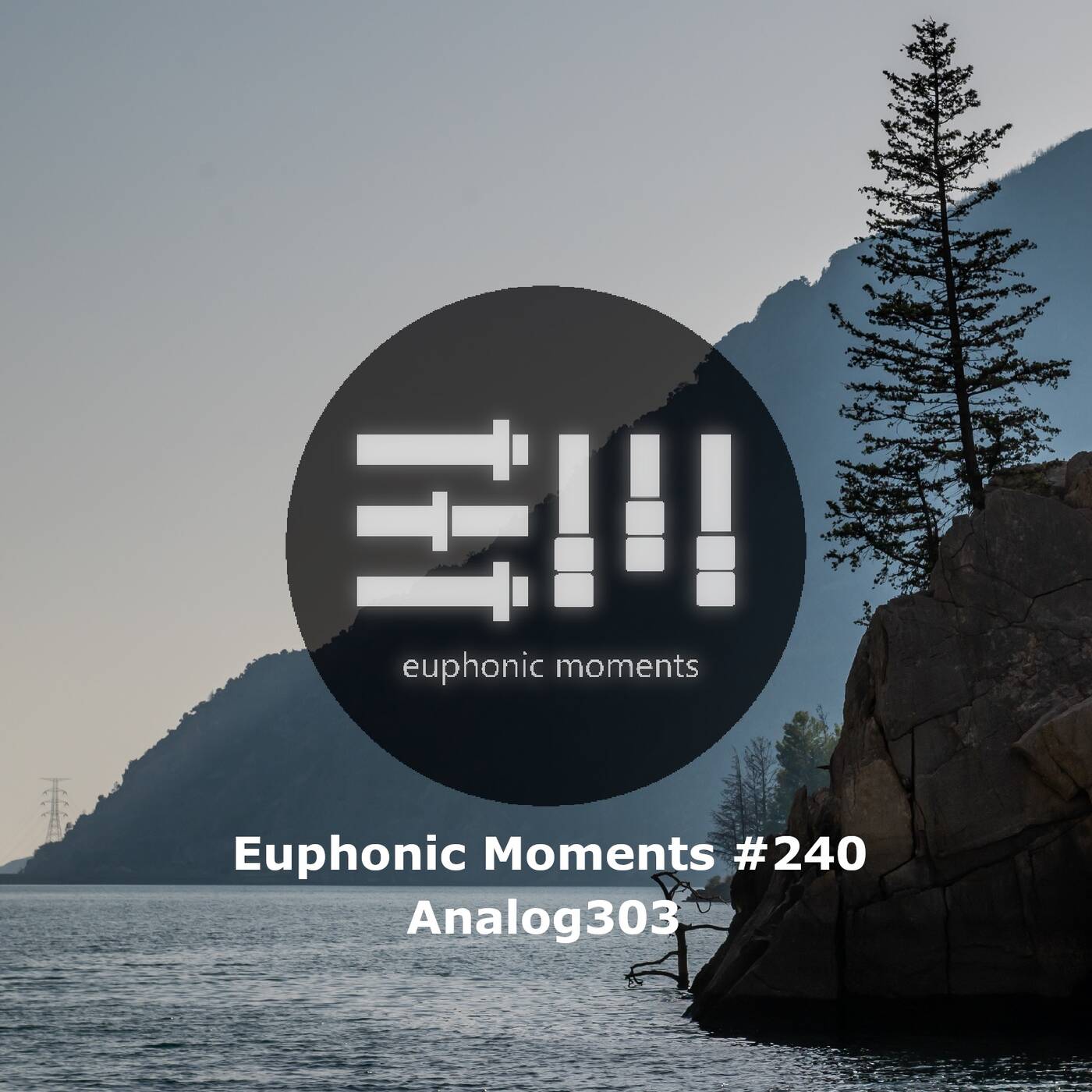 Euphonic Moments # 240 Analog303 episode artwork
