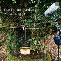 Field Recordings | Colors #31 by PG3A