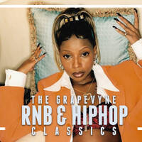 RNB &amp; HipHop Chronicles Vol. IX '(Strictly 90's Swing) by Soptimus Prime