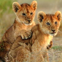 Deep Afro Show 2025-01-12 by Dj TuXxL