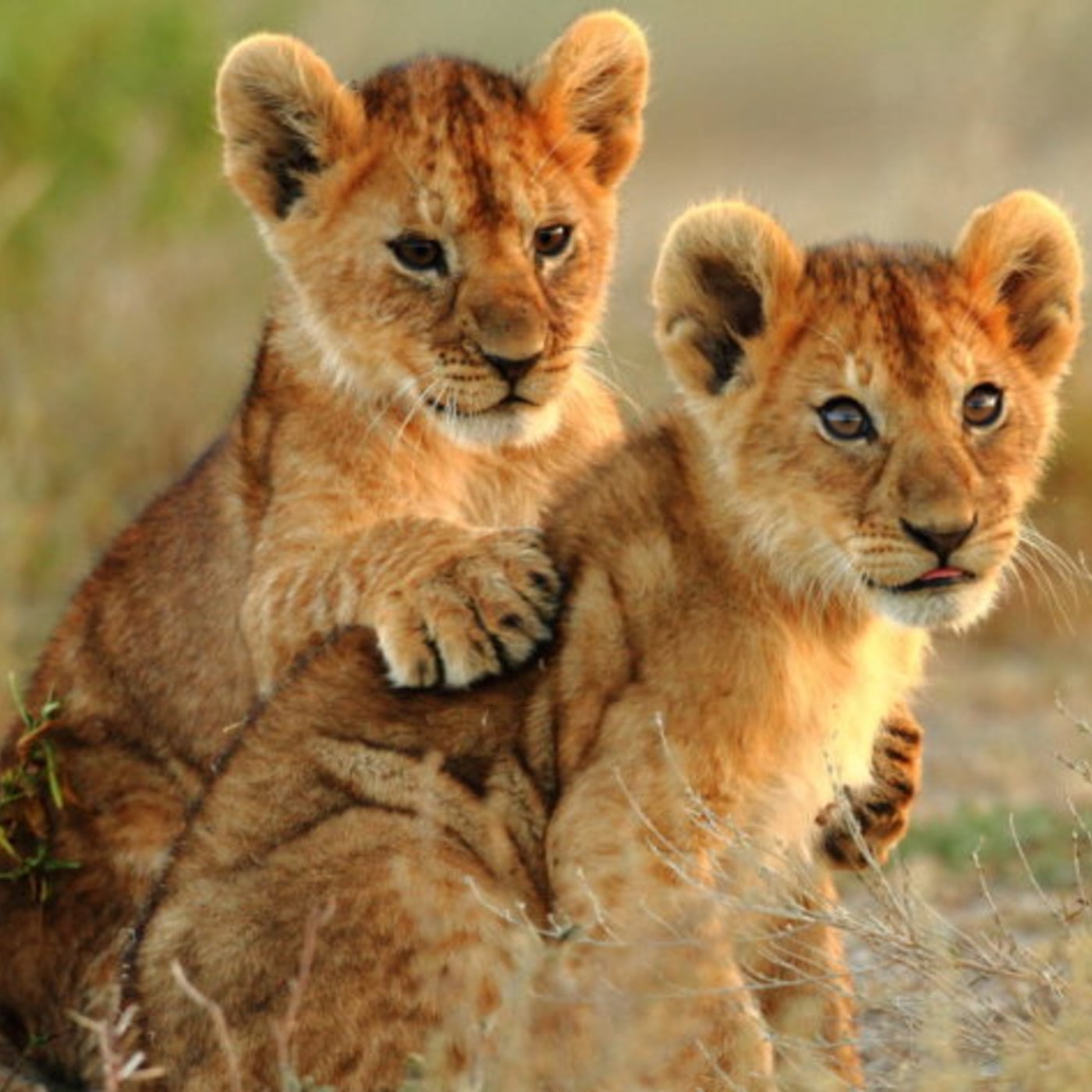 The Deep House Cave by Dj TuXxL (Univers DJ)