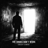 The Verve - The Drugs Don't Work (Shusky Canine Vocal Cover) by DNSK