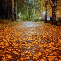 copernicus - highway to house - episode 54 by copernicus