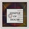 Temple Of House
