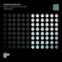 Didactic Scalica Live - Night Shade in Cita Puse (29.01.2014) by Lomidze
