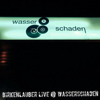 birkenlauber @ FÄÄTT Live - Wasserschaden Hamburg by Livemix
