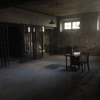 amanecer negro(ANIMAL POISON) by VITIV