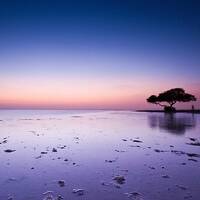 2 part phoenex impossible dj prodution