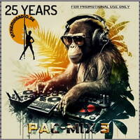 Pacman - Pac Mix 3 by InTheMixRadio