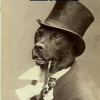 MadDogg Matthew Denton