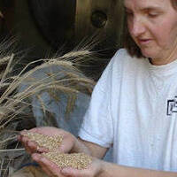 LsLf -Mag- La boulange -01- AMAP (Juillet 2018) by Le son et la forme